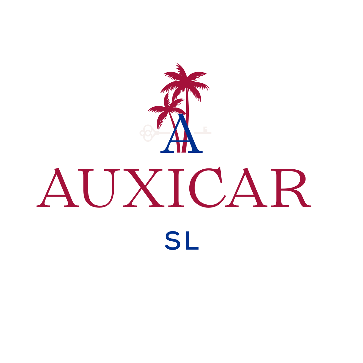logo auxicar