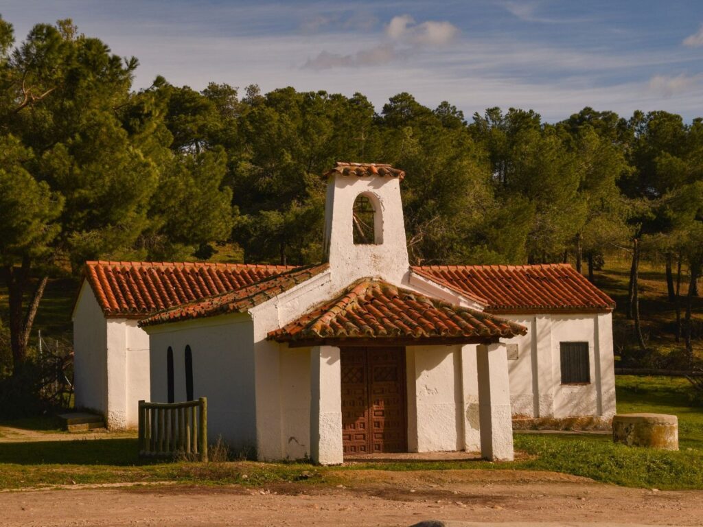 Consultoría estratégica a medida para mejorar la competitividad.