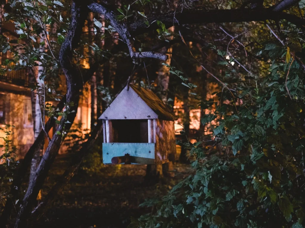 Consultoría a medida para mejorar la eficiencia organizacional.